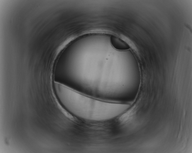X0000095691237200801081032