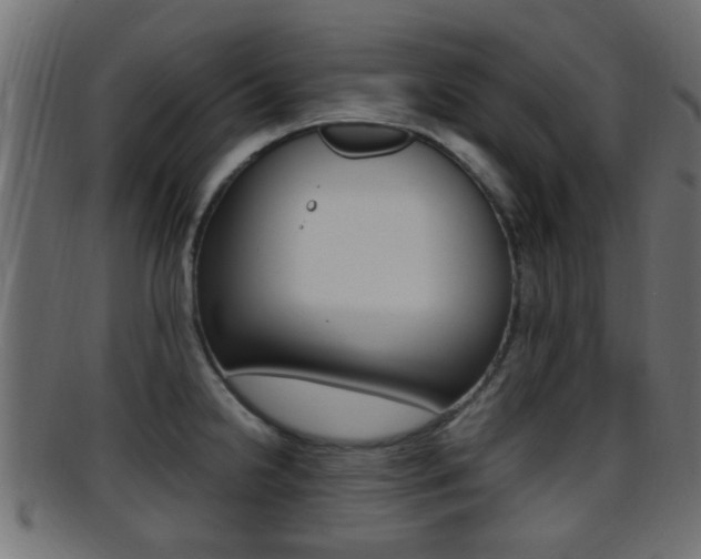 X0000095691238200801081032