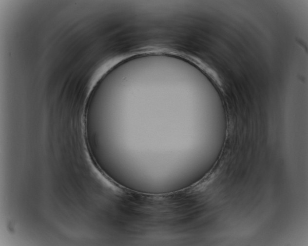 X0000095691239200801081032