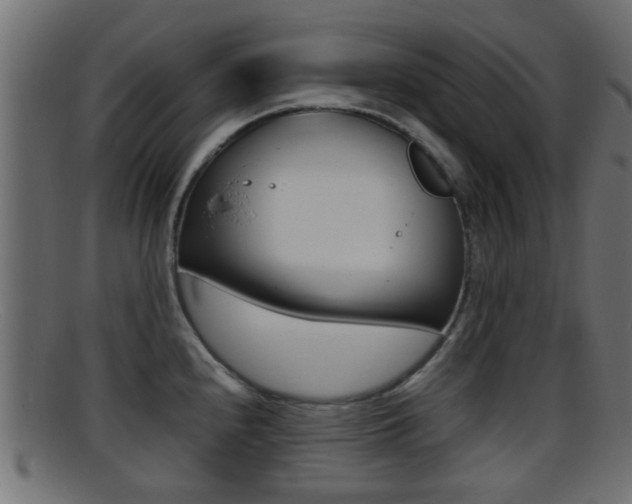 X0000095691240200801081032