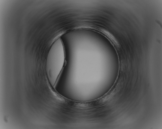 X0000095691241200801081032