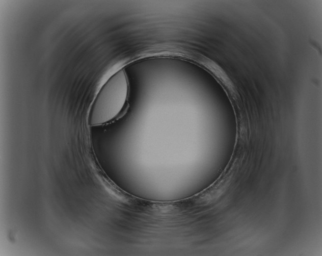 X0000095691242200801081032