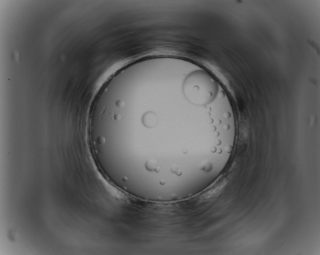 X0000095691245200801081032