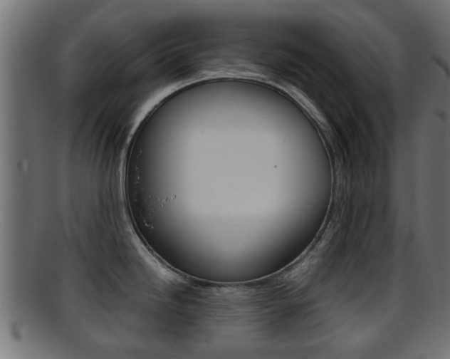 X0000095691246200801081032