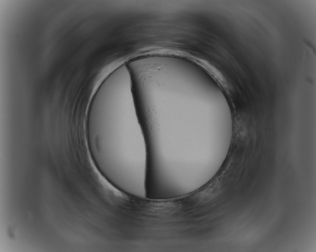 X0000095691247200801081032