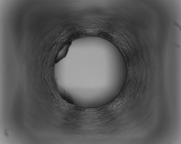 X0000095691249200801081031