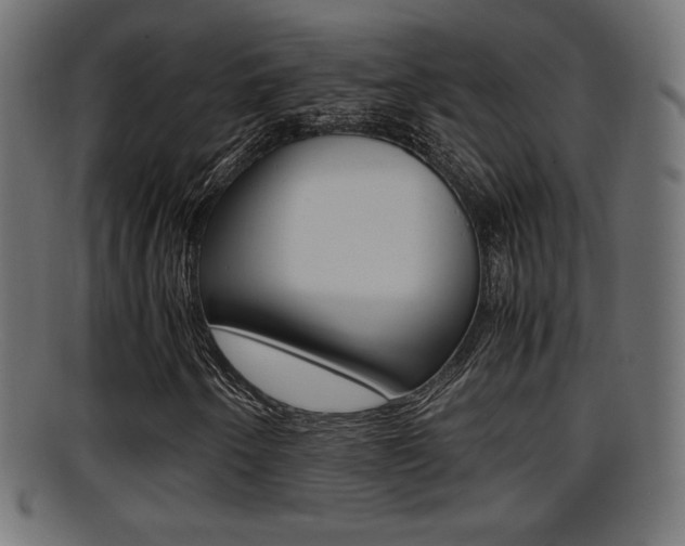 X0000095691250200801081031