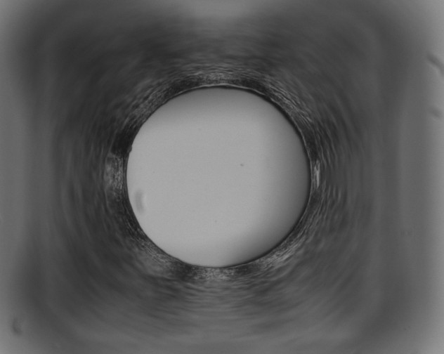 X0000095691251200801081031