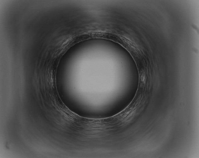 X0000095691252200801081031