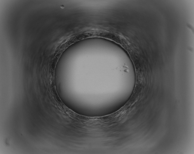 X0000095691253200801081031