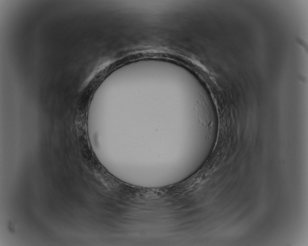 X0000095691255200801081031