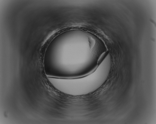 X0000095691256200801081031