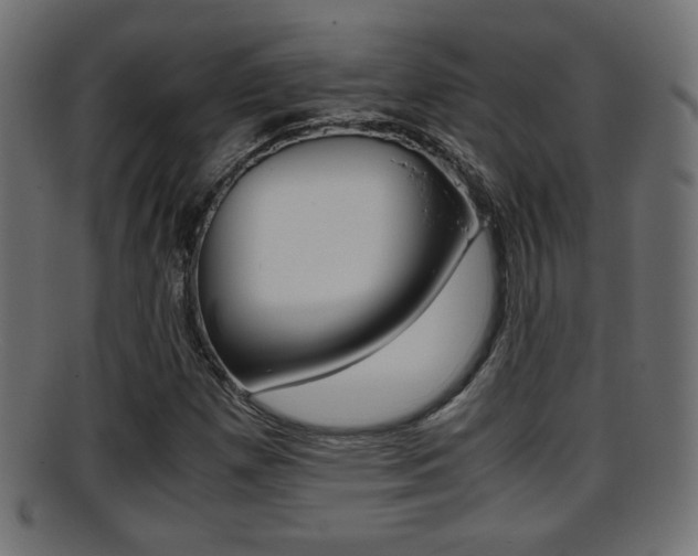 X0000095691257200801081031