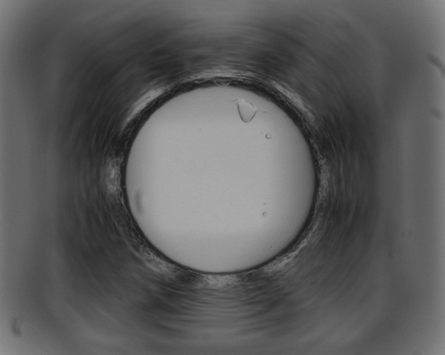 X0000095691258200801081031