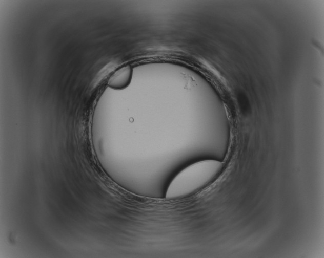 X0000095691259200801081031