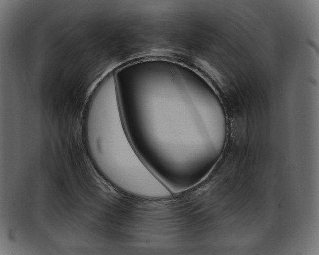 X0000095691260200801081031