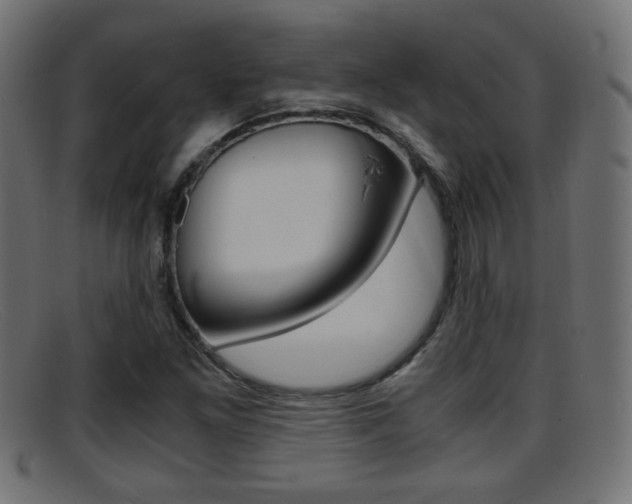 X0000095691261200801081031