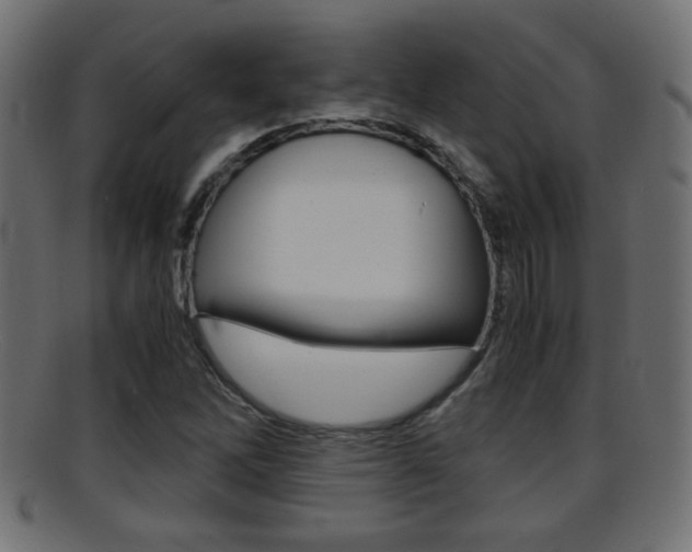 X0000095691262200801081031