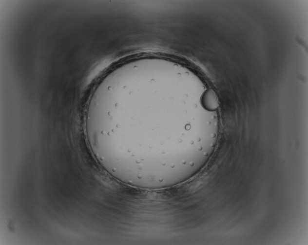 X0000095691263200801081031