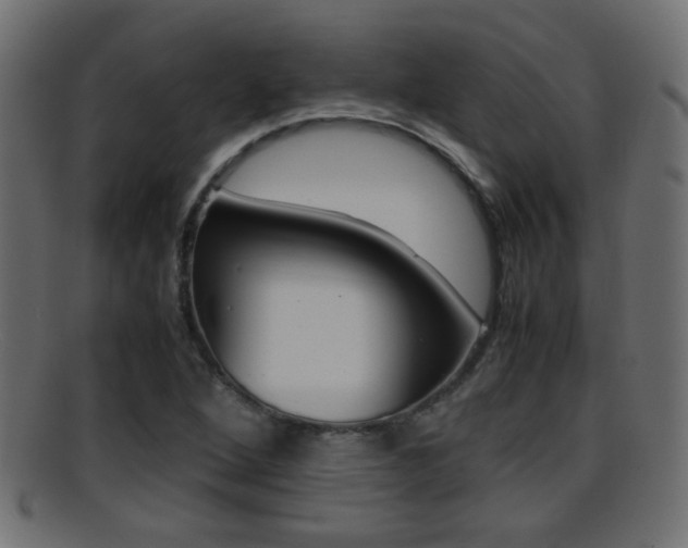 X0000095691264200801081031