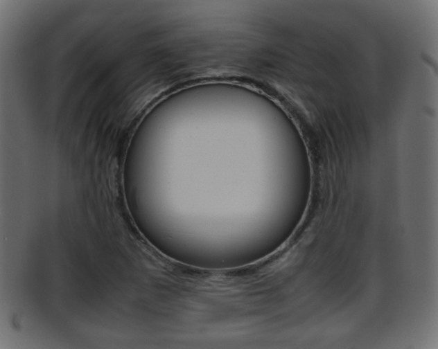 X0000095691265200801081031
