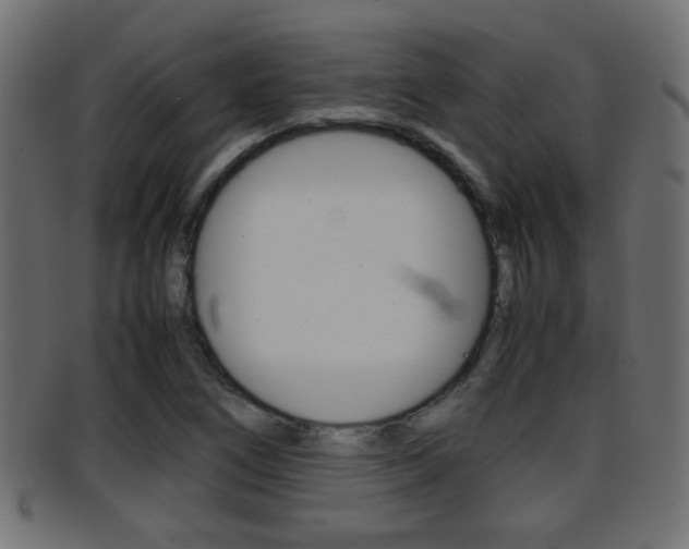 X0000095691266200801081031