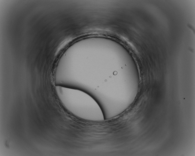 X0000095691267200801081031