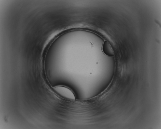 X0000095691270200801081031