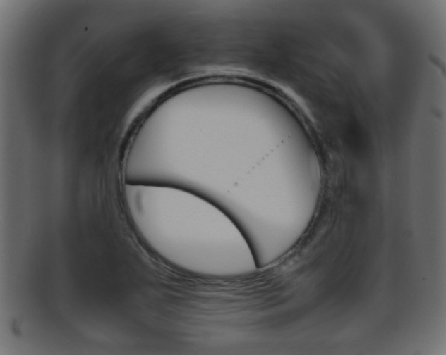X0000095691271200801081031
