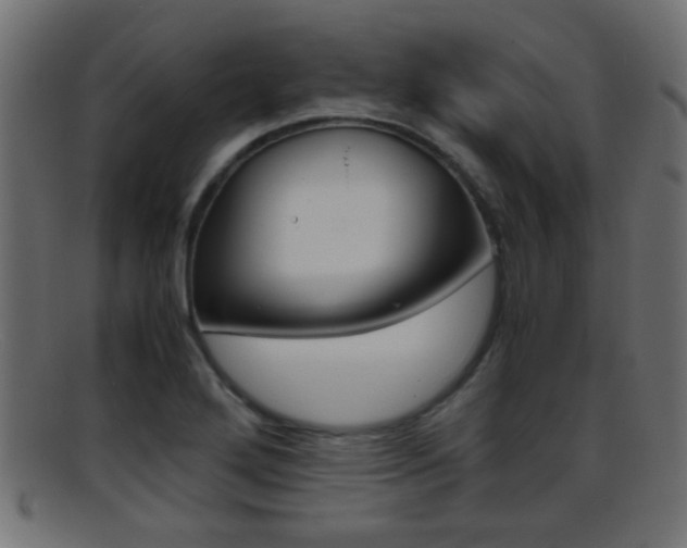 X0000095691272200801081031