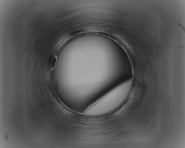 X0000095691273200801081031