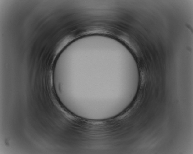 X0000095691274200801081031