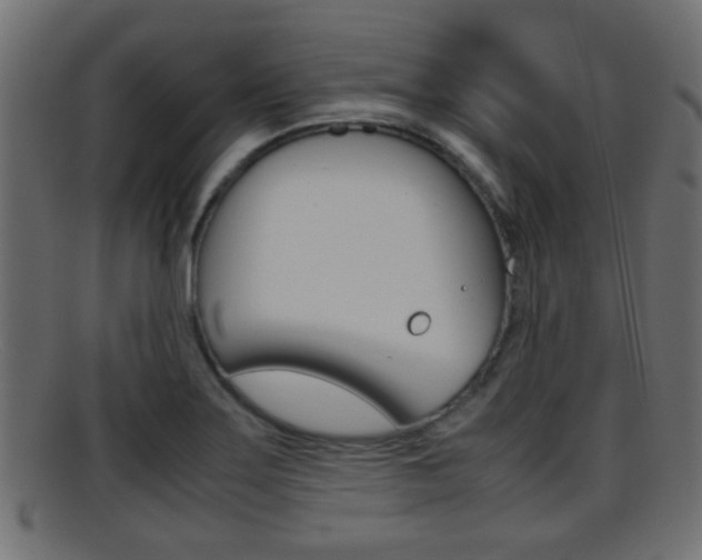 X0000095691275200801081031