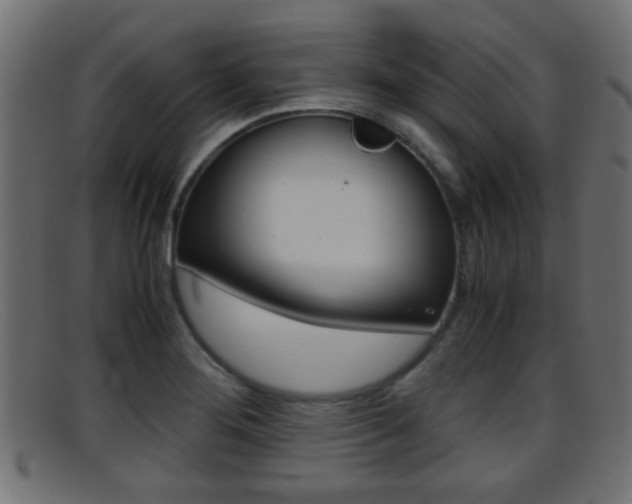 X0000095691276200801081031