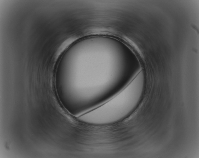 X0000095691277200801081031