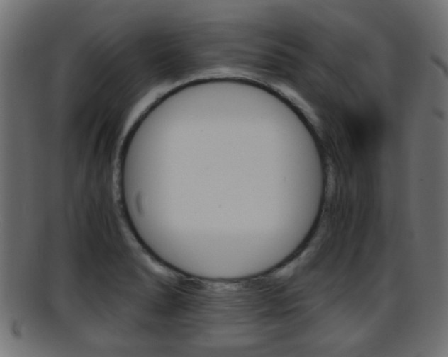 X0000095691278200801081031