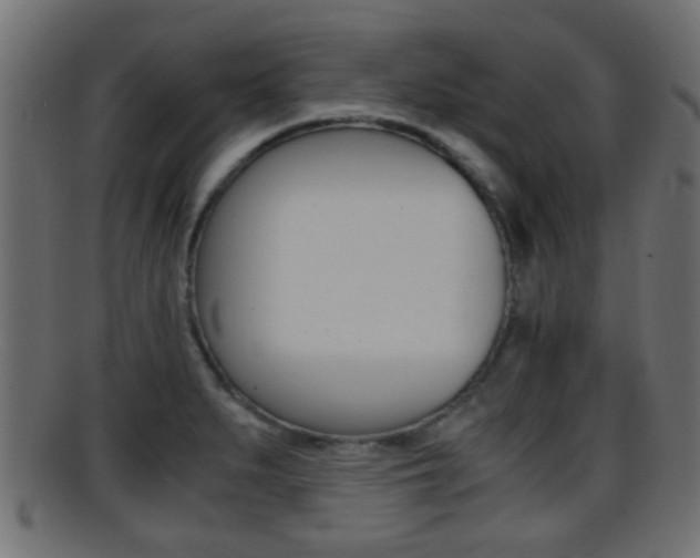 X0000095691279200801081031