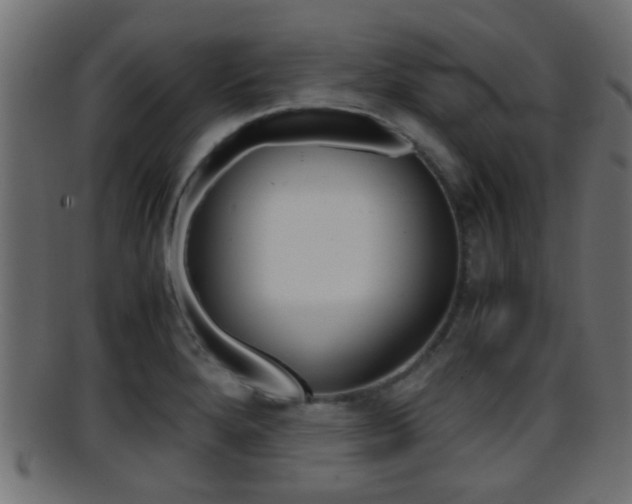 X0000095691280200801081031