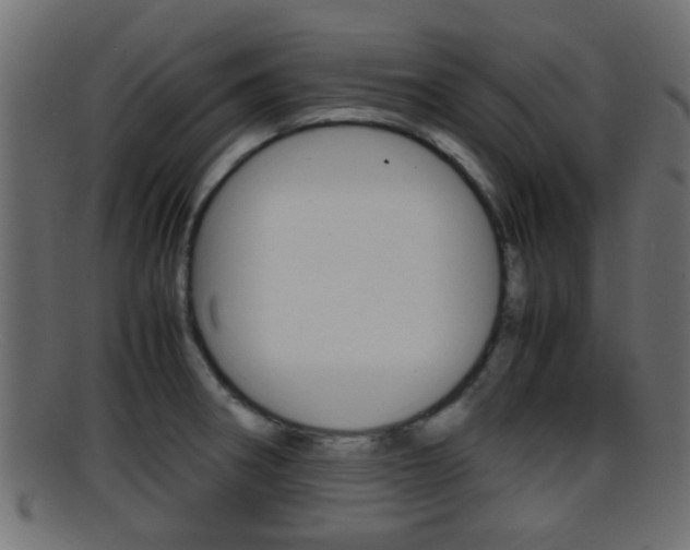 X0000095691282200801081031