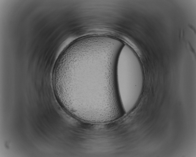 X0000095691283200801081031
