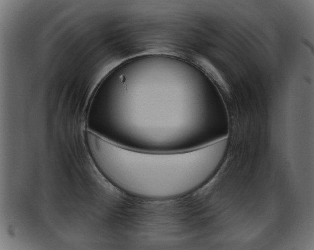 X0000095691284200801081031