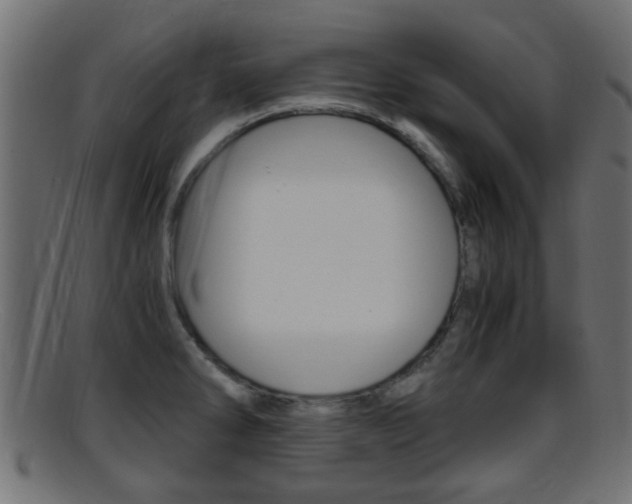 X0000095691286200801081031