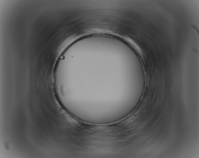 X0000095691287200801081031