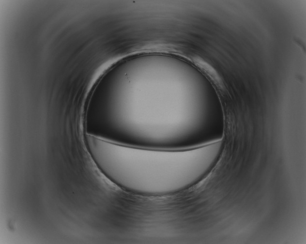 X0000095691288200801081031