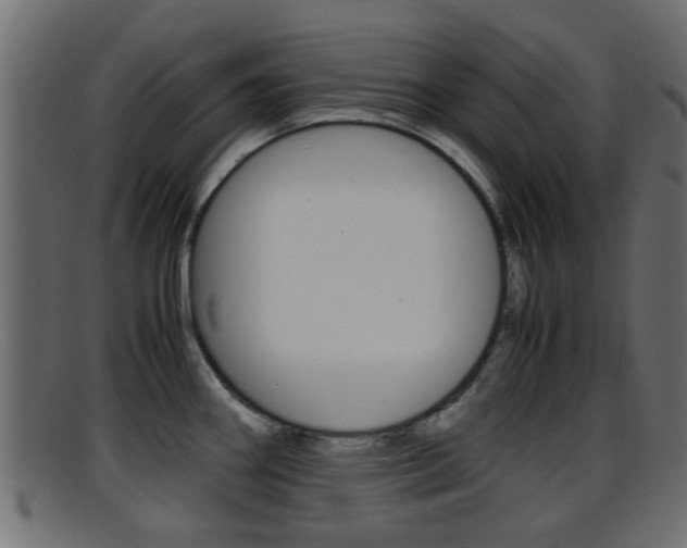 X0000095691290200801081031