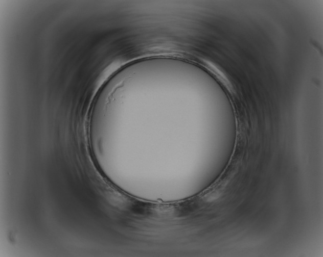 X0000095691291200801081030