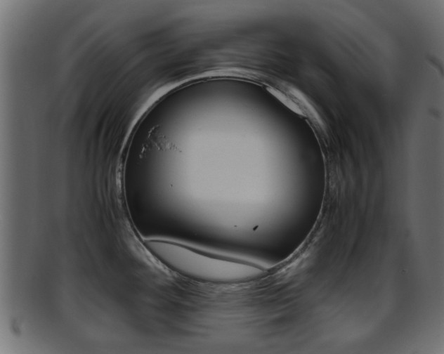 X0000095691292200801081030