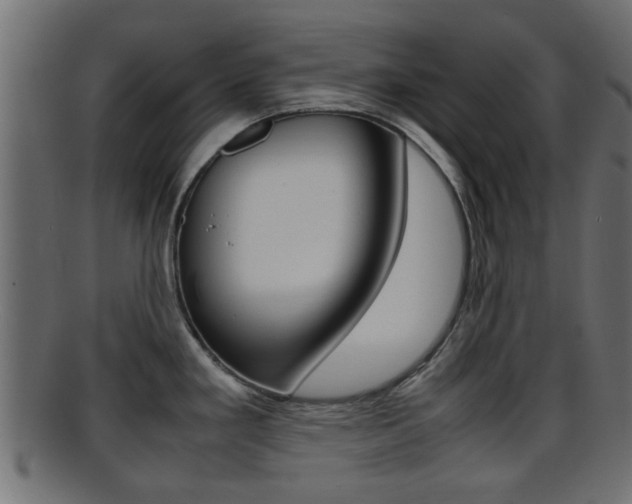 X0000095691293200801081030