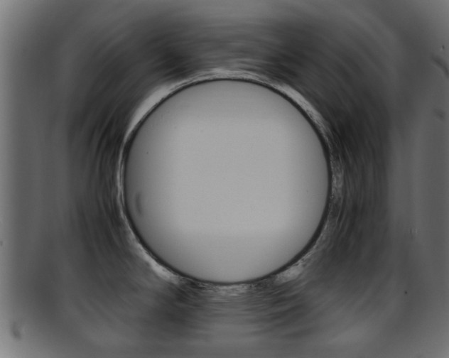 X0000095691294200801081030