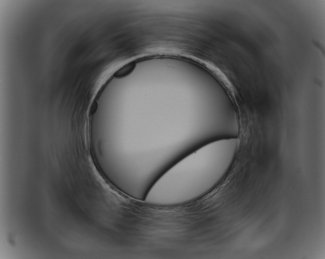 X0000095691295200801081030